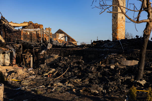 Reliable Board Up Services contractor in Naples, TX by Fire Damage Doption