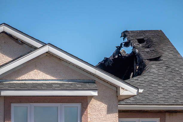 Top rated local Board Up Services specialists in Naples, TX
